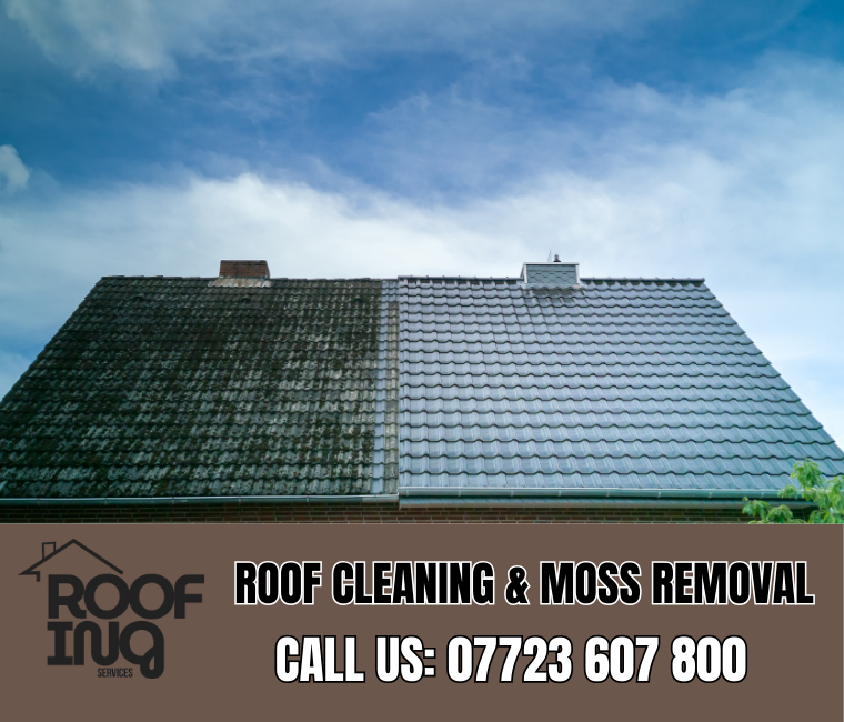 Roof Cleaning in Carn Brea